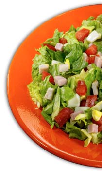 Saladworks a franchise opportunity from Franchise Genius
