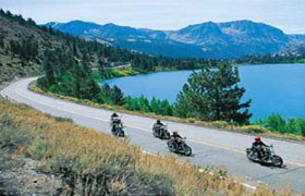 Bikers Bay a franchise opportunity from Franchise Genius