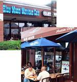 Blue Moon Mexican Cafe a franchise opportunity from Franchise Genius