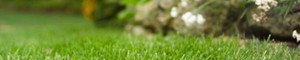 Trugreen Chemlawn a franchise opportunity from Franchise Genius