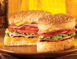 Schlotzsky's a franchise opportunity from Franchise Genius