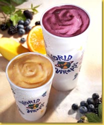 World Wrapps a franchise opportunity from Franchise Genius