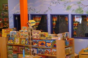 Brilliant Sky Toys & Books a franchise opportunity from Franchise Genius