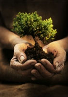 Age Advantage Home Care Franchising a franchise opportunity from Franchise Genius