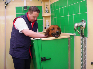 OK Dog Washing a franchise opportunity from Franchise Genius