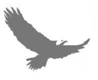 Eagle Transmission a franchise opportunity from Franchise Genius