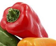 Jimmy Z's Square Pizza a franchise opportunity from Franchise Genius