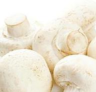 Jimmy Z's Square Pizza a franchise opportunity from Franchise Genius