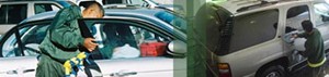 Cactus Car Wash a franchise opportunity from Franchise Genius