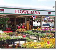 Flowerama of America a franchise opportunity from Franchise Genius