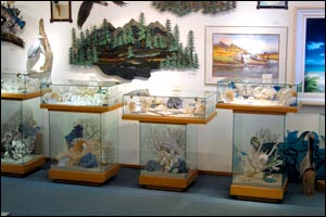 Shorelines Gallery a franchise opportunity from Franchise Genius