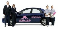Molly Maid a franchise opportunity from Franchise Genius